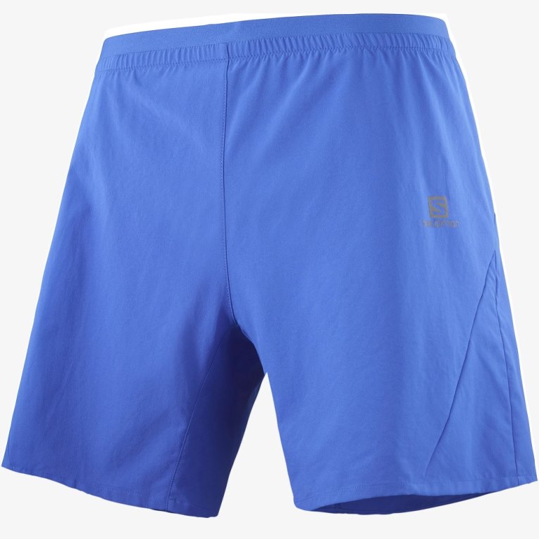 Blue Salomon Cross 7'' Men's Shorts | PH 85073F